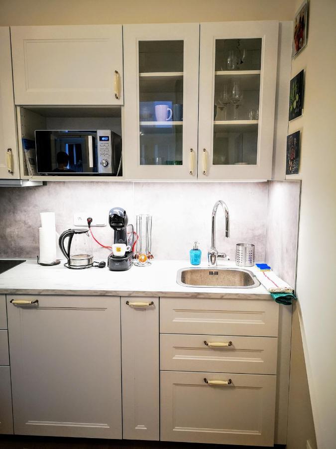 W Apartment, Vintage Style, Next To Wenceslas Square, Prague Center Praga
